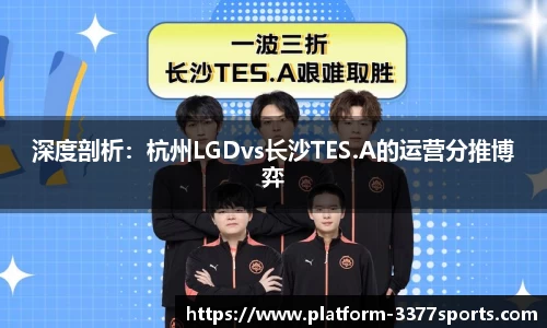 3377体育官网