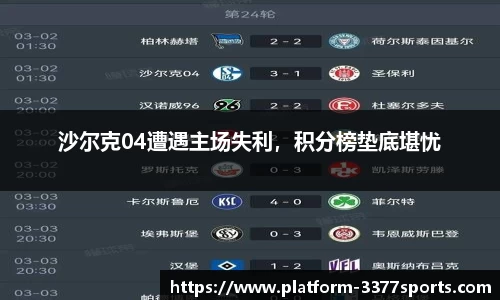 3377体育官网