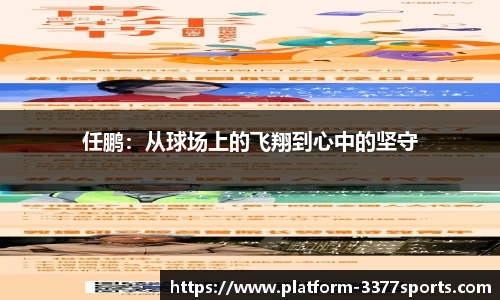 3377体育